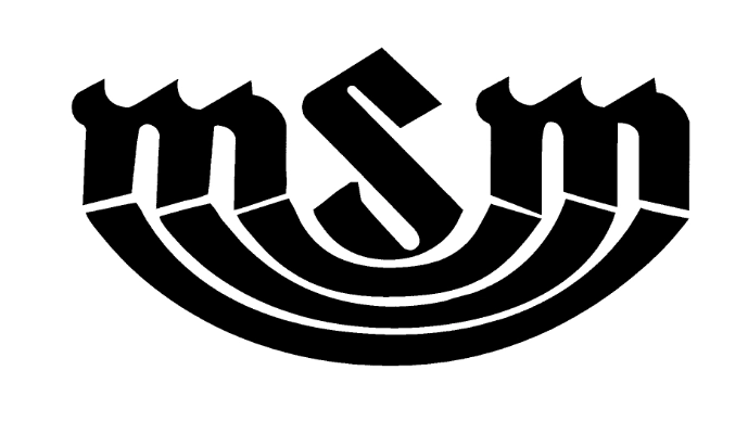 Logo_Monte Sinai